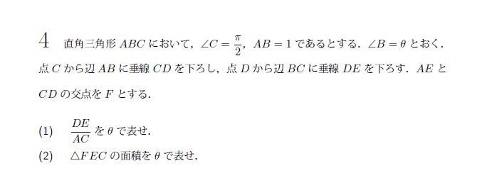 北海道大学 2010年 文系 第4問 解説